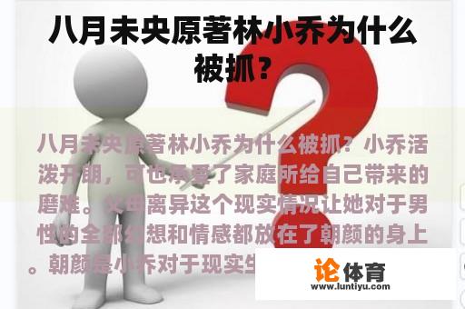 八月未央原著林小乔为什么被抓？