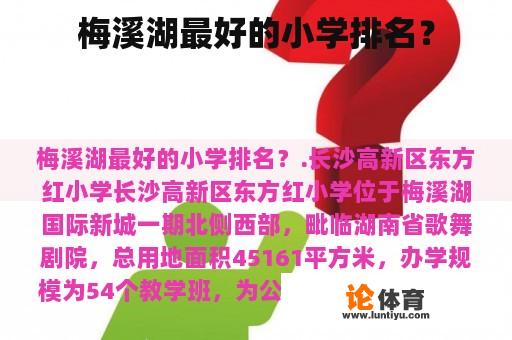 梅溪湖最好的小学排名? 梅溪湖最好的小学排名?