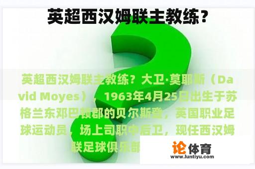 英超西汉姆联主教练？
