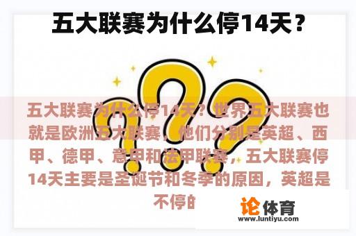 五大联赛为什么停14天？