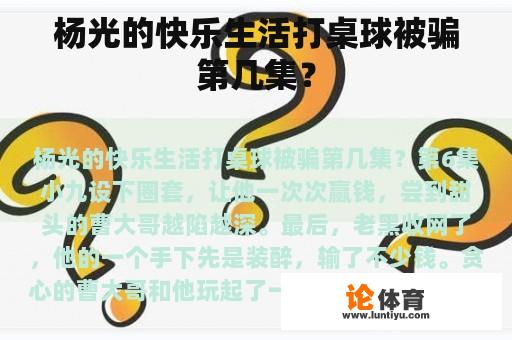 杨光的快乐生活打桌球被骗第几集？