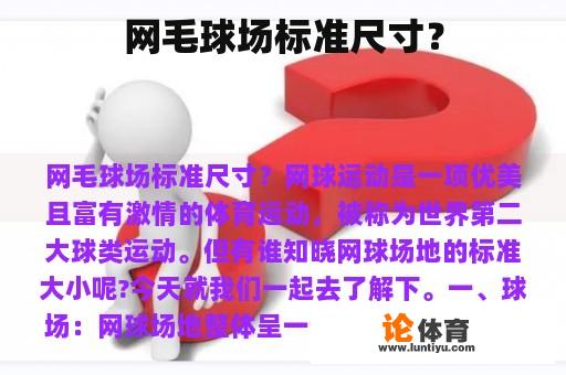 网毛球场标准尺寸？