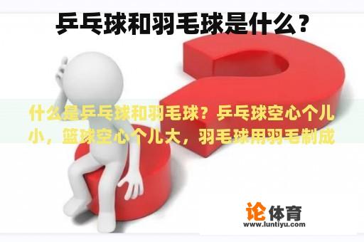 乒乓球和羽毛球是什么？