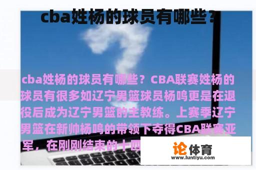 cba姓杨的球员有哪些?