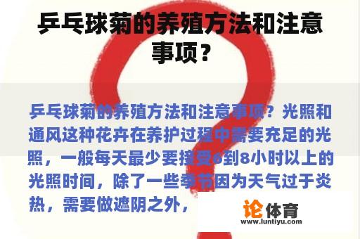 乒乓球菊的养殖方法和注意事项？