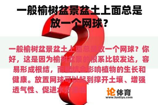 一般榆树盆景盆土上面总是放一个网球？