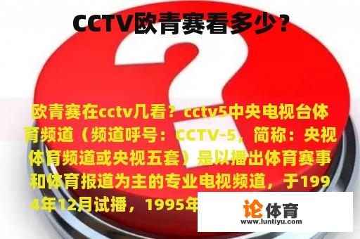 CCTV欧洲足球锦标赛有多少观众?