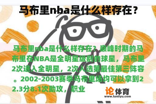 马布里nba是什么样的存在？