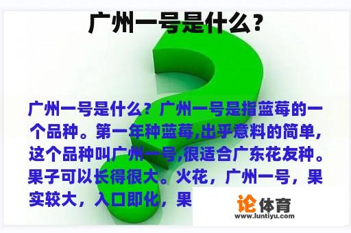 广州一号是什么？