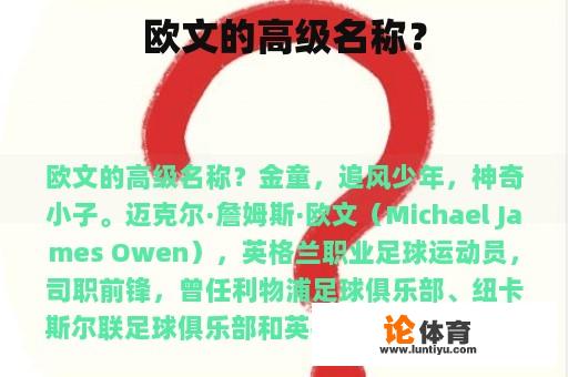 欧文的高级名称？