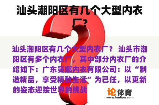 汕头潮阳区有几个大型内衣厂？