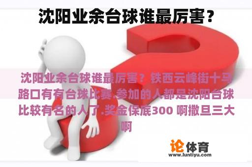 沈阳业余台球谁最厉害？