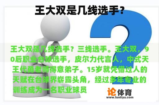 王大双是几线选手？