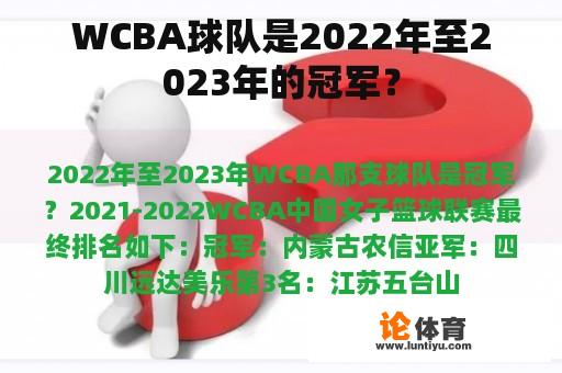 WCBA球队是2022年至2023年的冠军？