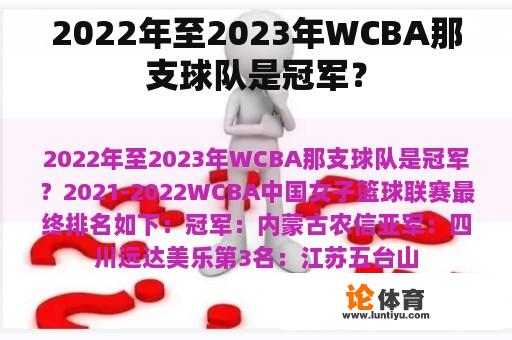 2022年至2023年WCBA那支球队是冠军？