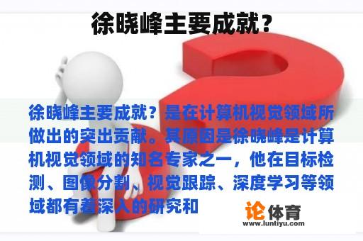 徐晓峰主要成就？