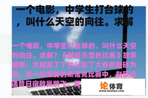 一个电影，中学生打台球的，叫什么天空的向往。求解？