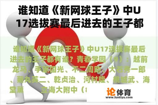 谁知道《新网球王子》中U17选拔赛最后进去的王子都有谁？