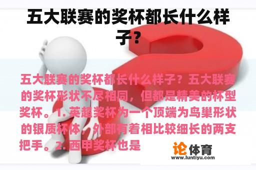 五大联赛的奖杯都长什么样子？