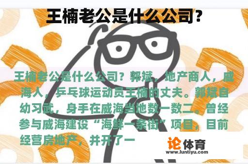 王楠老公是什么公司？