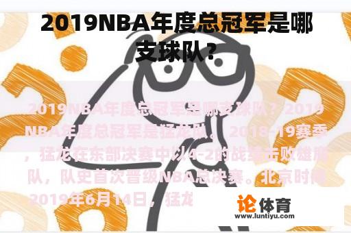 2019NBA年度总冠军是哪支球队？