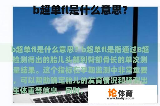 b超单fl是什么意思？