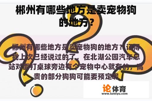 郴州有哪些地方是卖宠物狗的地方？