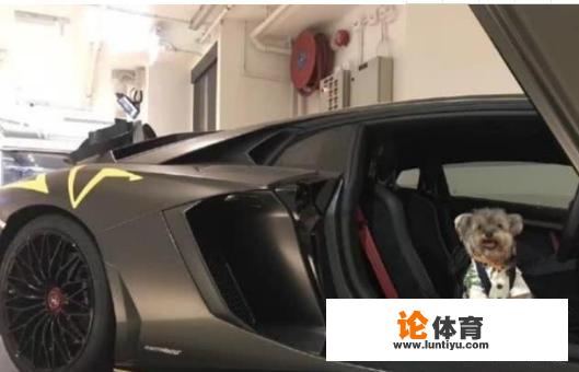 秦升亚冠决赛对骂,秦升怎么会韩语,秦升年薪多少万? 秦升亚冠决赛对骂,秦升怎么会韩语,秦升年薪多少万?