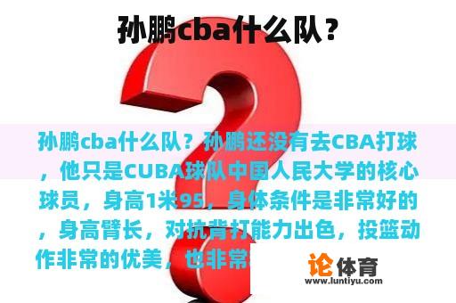 孙鹏cba什么队？