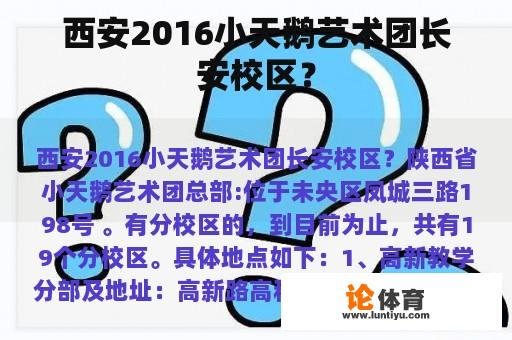 西安2016小天鹅艺术团长安校区？