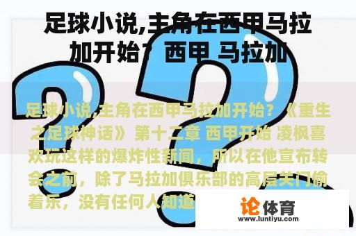 足球小说,主角在西甲马拉加开始?西甲 马拉加 足球小说,主角在西甲马拉加开始?西甲 马拉加