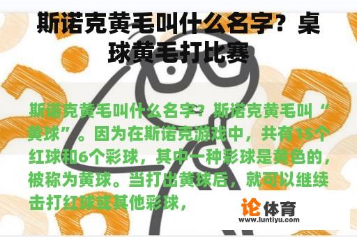 斯诺克黄毛叫什么名字？桌球黄毛打比赛