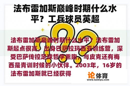 法布雷加斯巅峰时期什么水平？工兵球员英超