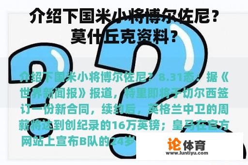 介绍下国米小将博尔佐尼？莫什丘克资料？