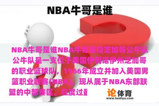 NBA牛哥是谁