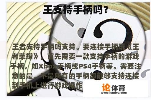 王支持手柄吗？