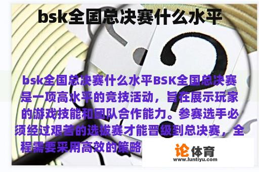 bsk全国总决赛什么水平