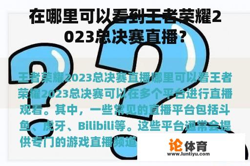 在哪里可以看到王者荣耀2023总决赛直播？