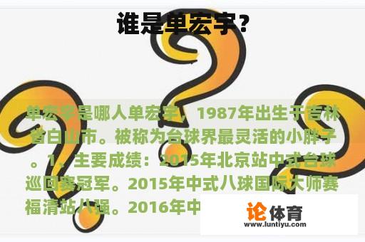 谁是单宏宇? 谁是单宏宇?