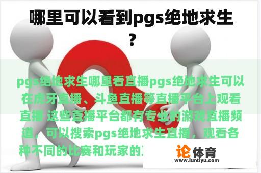 哪里可以看到pgs绝地求生？