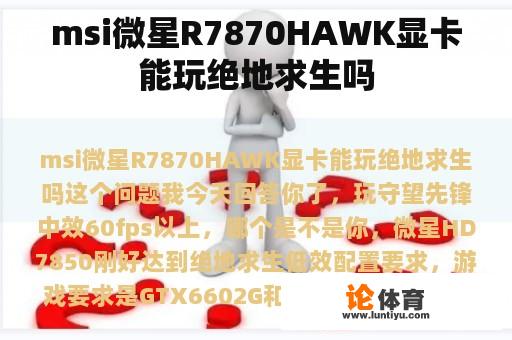 msi微星R7870HAWK显卡能玩绝地求生吗