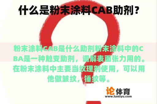 什么是粉末涂料CAB助剂？