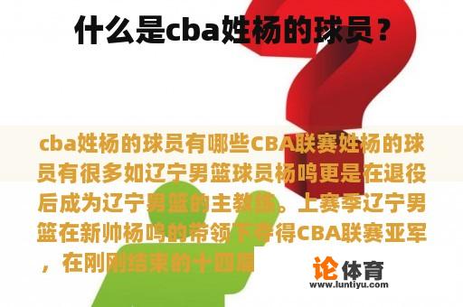 什么是cba姓杨的球员？