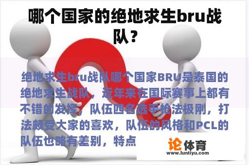 哪个国家的绝地求生bru战队？