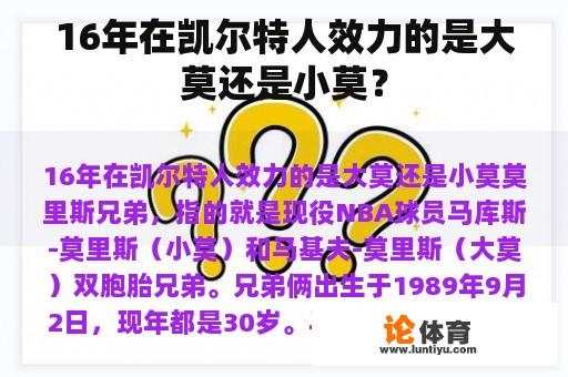 16年在凯尔特人效力的是大莫还是小莫？