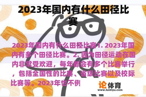 2023年国内有什么田径比赛