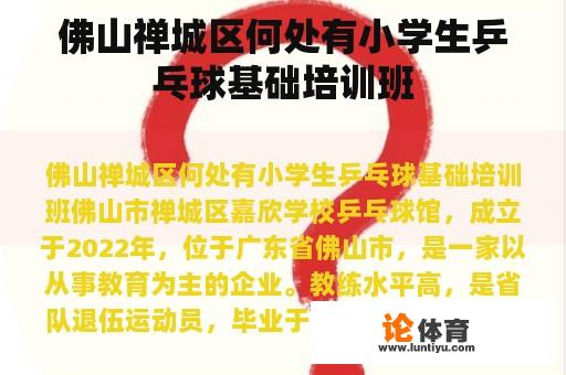佛山禅城区何处有小学生乒乓球基础培训班 佛山禅城区何处有小学生乒乓球基础培训班