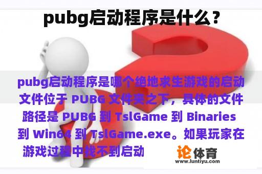 pubg启动程序是什么？