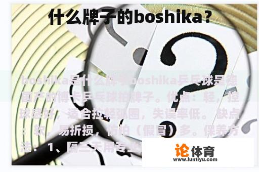 什么牌子的boshika? 什么牌子的boshika?