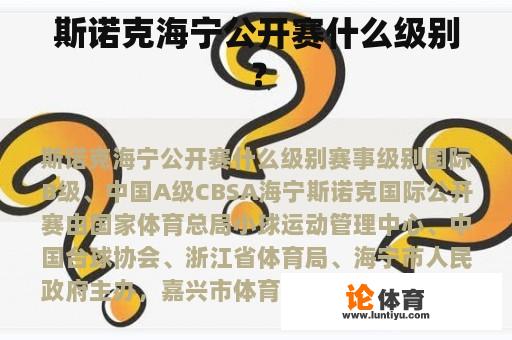 斯诺克海宁公开赛什么级别？